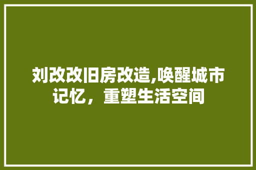 刘改改旧房改造,唤醒城市记忆，重塑生活空间 汽车维修