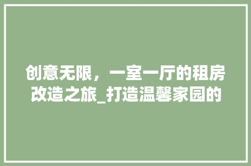 创意无限，一室一厅的租房改造之旅_打造温馨家园的方法 墙体维修