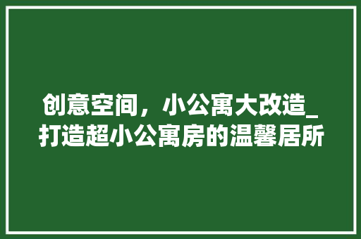 创意空间，小公寓大改造_打造超小公寓房的温馨居所 家电维修