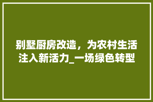 别墅厨房改造，为农村生活注入新活力_一场绿色转型的方法探索 综合便民