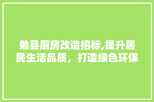 勉县厨房改造招标,提升居民生活品质，打造绿色环保厨房空间 厨房维修