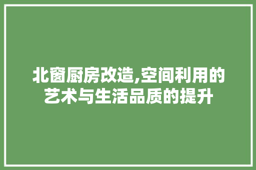 北窗厨房改造,空间利用的艺术与生活品质的提升 综合便民