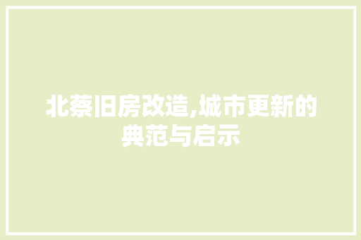 北蔡旧房改造,城市更新的典范与启示 墙体维修