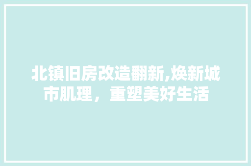 北镇旧房改造翻新,焕新城市肌理，重塑美好生活 厨房维修