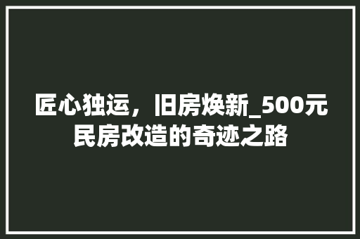 匠心独运，旧房焕新_500元民房改造的奇迹之路 墙体维修