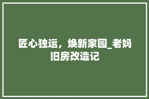 匠心独运，焕新家园_老妈旧房改造记 墙体维修