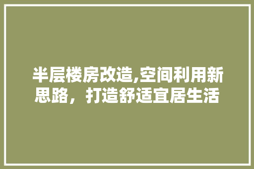 半层楼房改造,空间利用新思路，打造舒适宜居生活 墙体维修