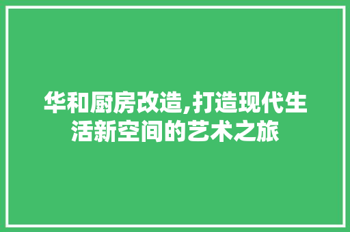 华和厨房改造,打造现代生活新空间的艺术之旅