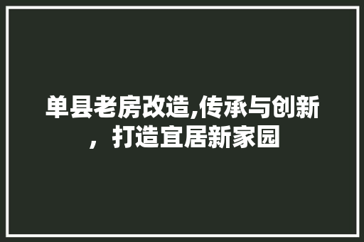 单县老房改造,传承与创新，打造宜居新家园