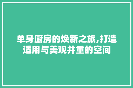 单身厨房的焕新之旅,打造适用与美观并重的空间