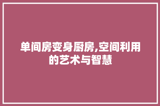 单间房变身厨房,空间利用的艺术与智慧