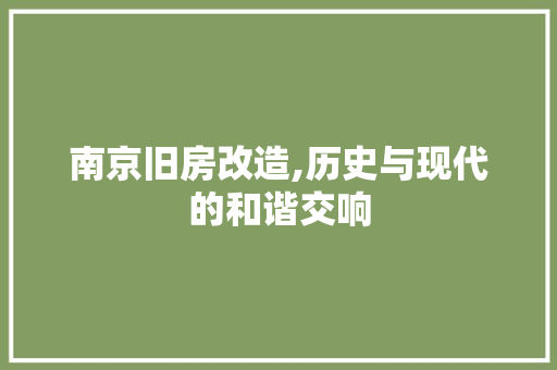 南京旧房改造,历史与现代的和谐交响 墙体维修