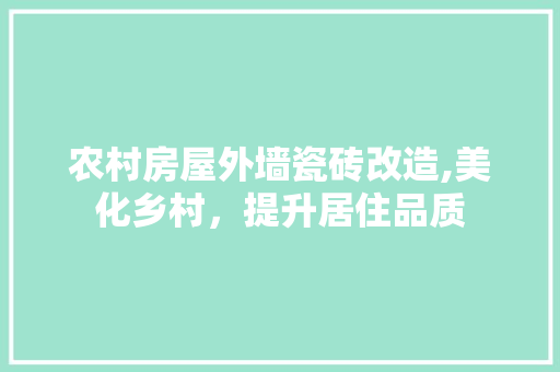 农村房屋外墙瓷砖改造,美化乡村，提升居住品质 综合便民