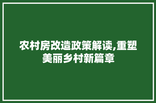 农村房改造政策解读,重塑美丽乡村新篇章 家电维修