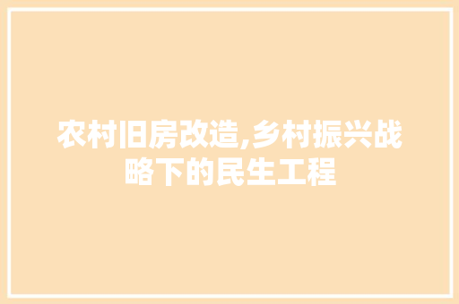 农村旧房改造,乡村振兴战略下的民生工程 综合便民