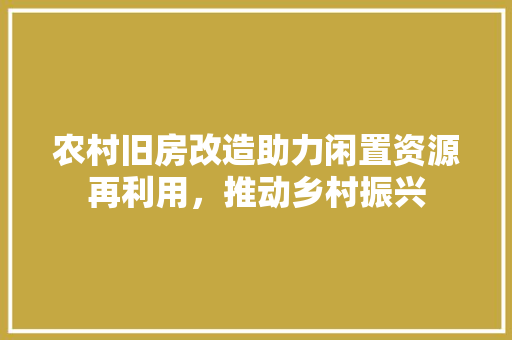 农村旧房改造助力闲置资源再利用，推动乡村振兴 墙体维修