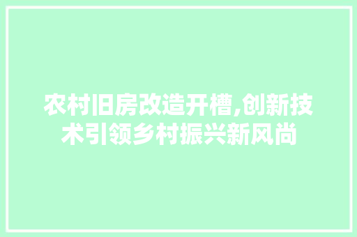 农村旧房改造开槽,创新技术引领乡村振兴新风尚 厨房维修