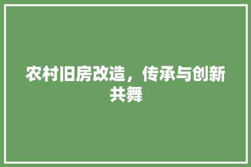 农村旧房改造，传承与创新共舞 综合便民
