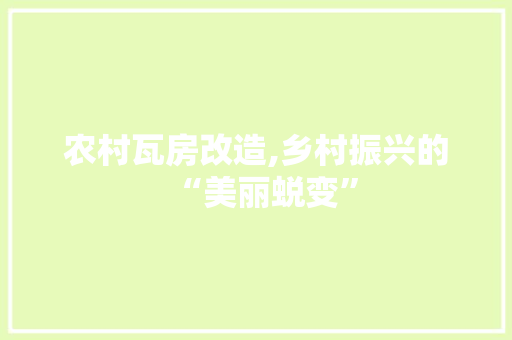 农村瓦房改造,乡村振兴的“美丽蜕变” 综合便民