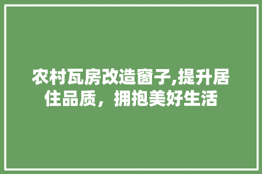 农村瓦房改造窗子,提升居住品质，拥抱美好生活 墙体维修