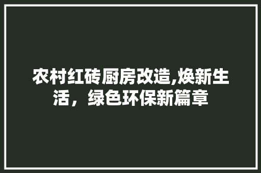 农村红砖厨房改造,焕新生活，绿色环保新篇章 厨房维修
