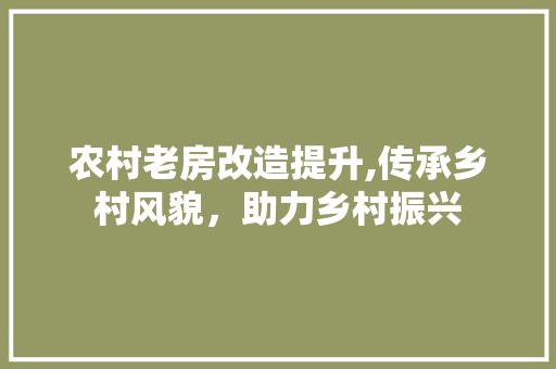 农村老房改造提升,传承乡村风貌，助力乡村振兴 汽车维修