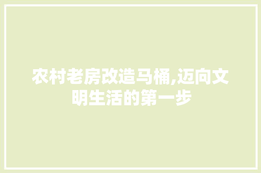 农村老房改造马桶,迈向文明生活的第一步 厨房维修