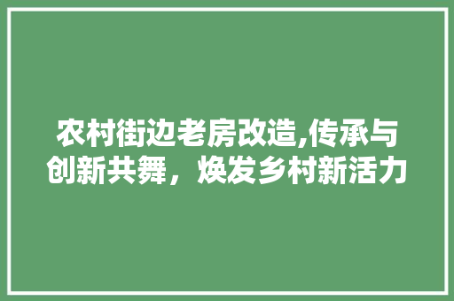 农村街边老房改造,传承与创新共舞，焕发乡村新活力 汽车维修