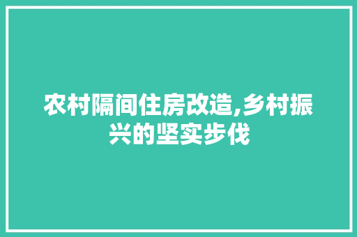 农村隔间住房改造,乡村振兴的坚实步伐
