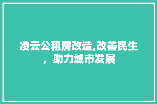 凌云公租房改造,改善民生，助力城市发展