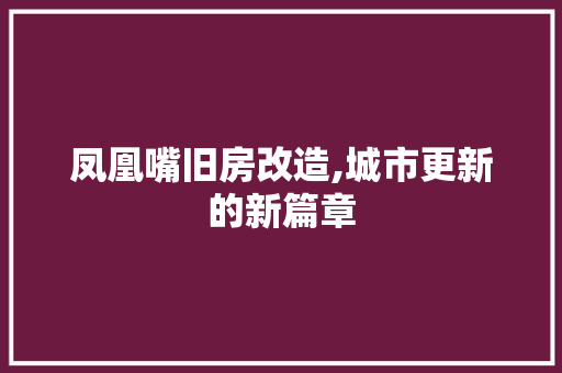 凤凰嘴旧房改造,城市更新的新篇章