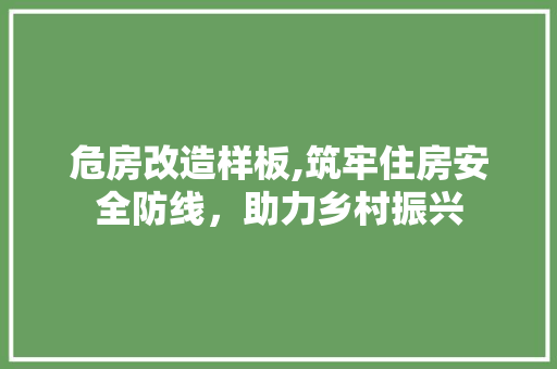 危房改造样板,筑牢住房安全防线，助力乡村振兴 厨房维修
