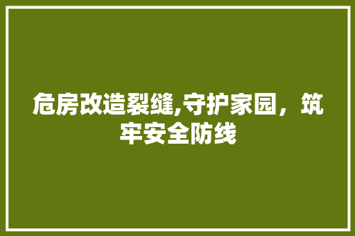 危房改造裂缝,守护家园，筑牢安全防线 墙体维修