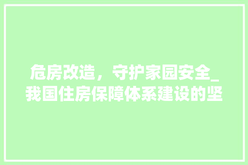 危房改造，守护家园安全_我国住房保障体系建设的坚实步伐 家电维修