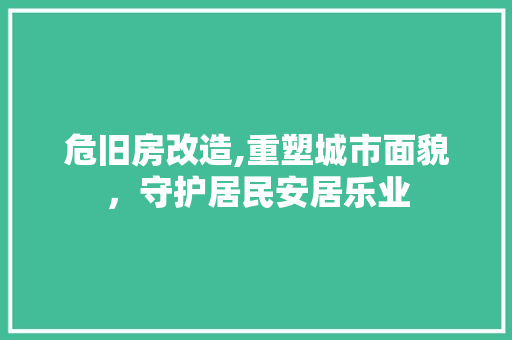 危旧房改造,重塑城市面貌，守护居民安居乐业 厨房维修