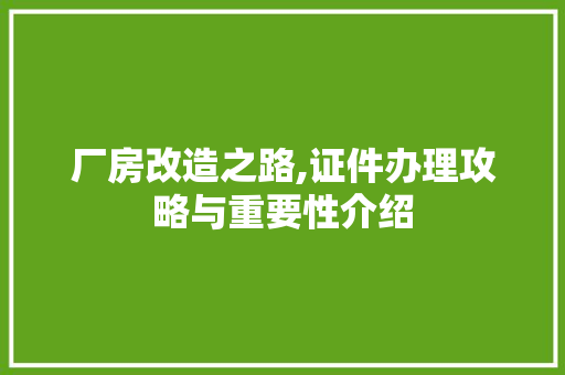 厂房改造之路,证件办理攻略与重要性介绍 家电维修