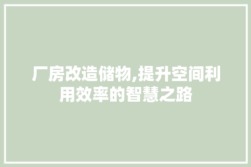 厂房改造储物,提升空间利用效率的智慧之路 厨房维修