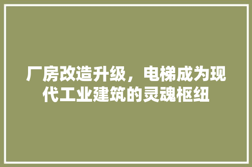 厂房改造升级，电梯成为现代工业建筑的灵魂枢纽 厨房维修