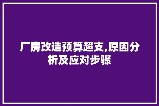 厂房改造预算超支,原因分析及应对步骤