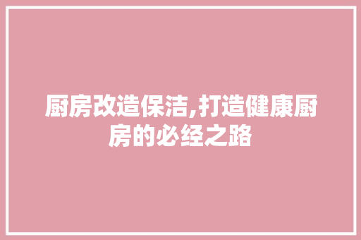厨房改造保洁,打造健康厨房的必经之路