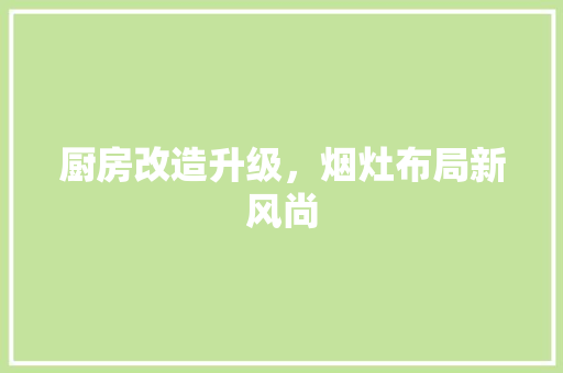 厨房改造升级，烟灶布局新风尚
