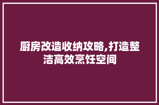 厨房改造收纳攻略,打造整洁高效烹饪空间