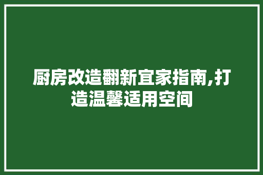 厨房改造翻新宜家指南,打造温馨适用空间 汽车维修
