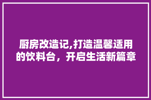 厨房改造记,打造温馨适用的饮料台，开启生活新篇章