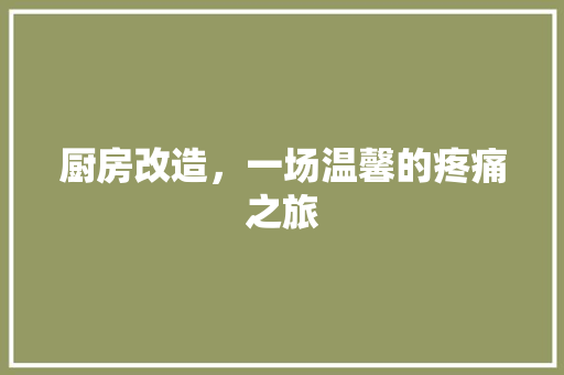 厨房改造，一场温馨的疼痛之旅