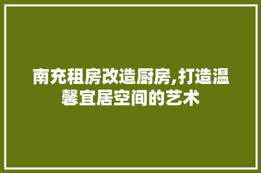南充租房改造厨房,打造温馨宜居空间的艺术