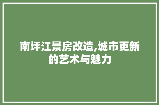 南坪江景房改造,城市更新的艺术与魅力 厨房维修