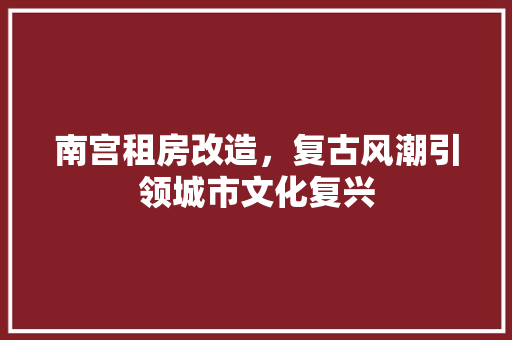南宫租房改造，复古风潮引领城市文化复兴 厨房维修
