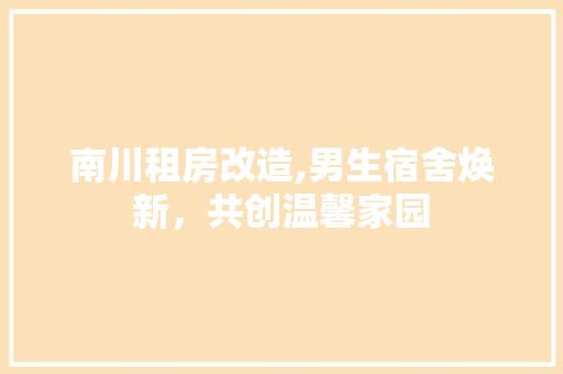 南川租房改造,男生宿舍焕新，共创温馨家园 厨房维修