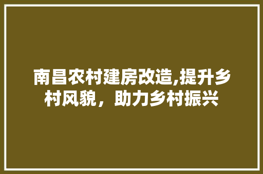 南昌农村建房改造,提升乡村风貌，助力乡村振兴